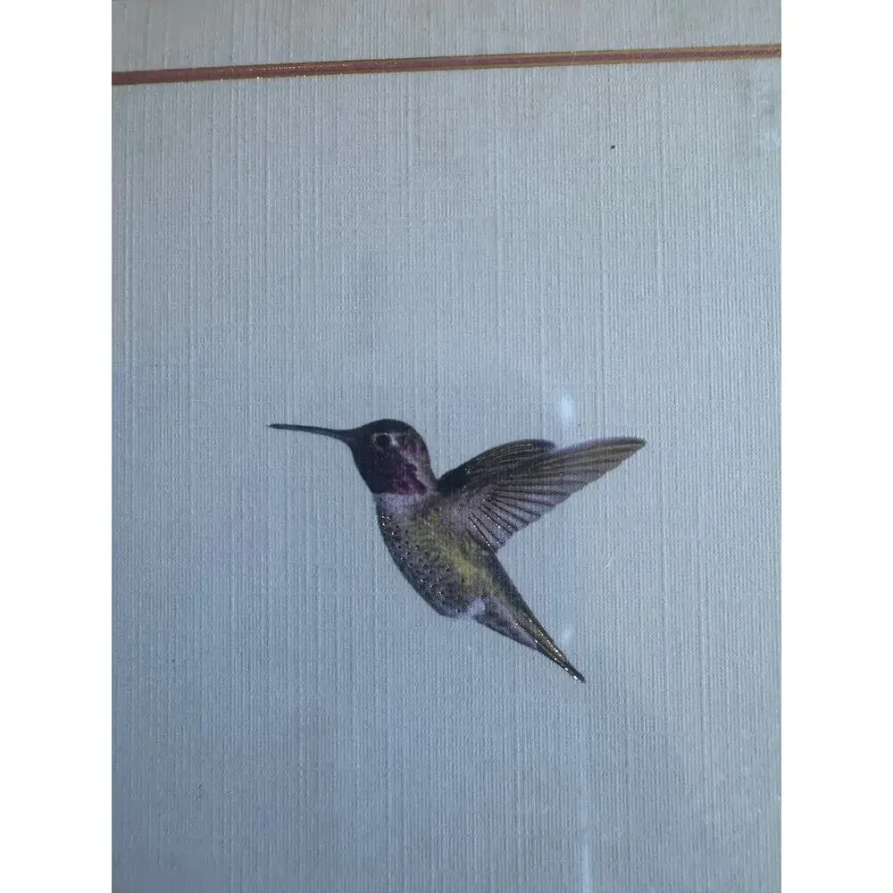 NWT Peter Pauper Hummingbird Flight Note Cards 14 Cards 15 Envelopes